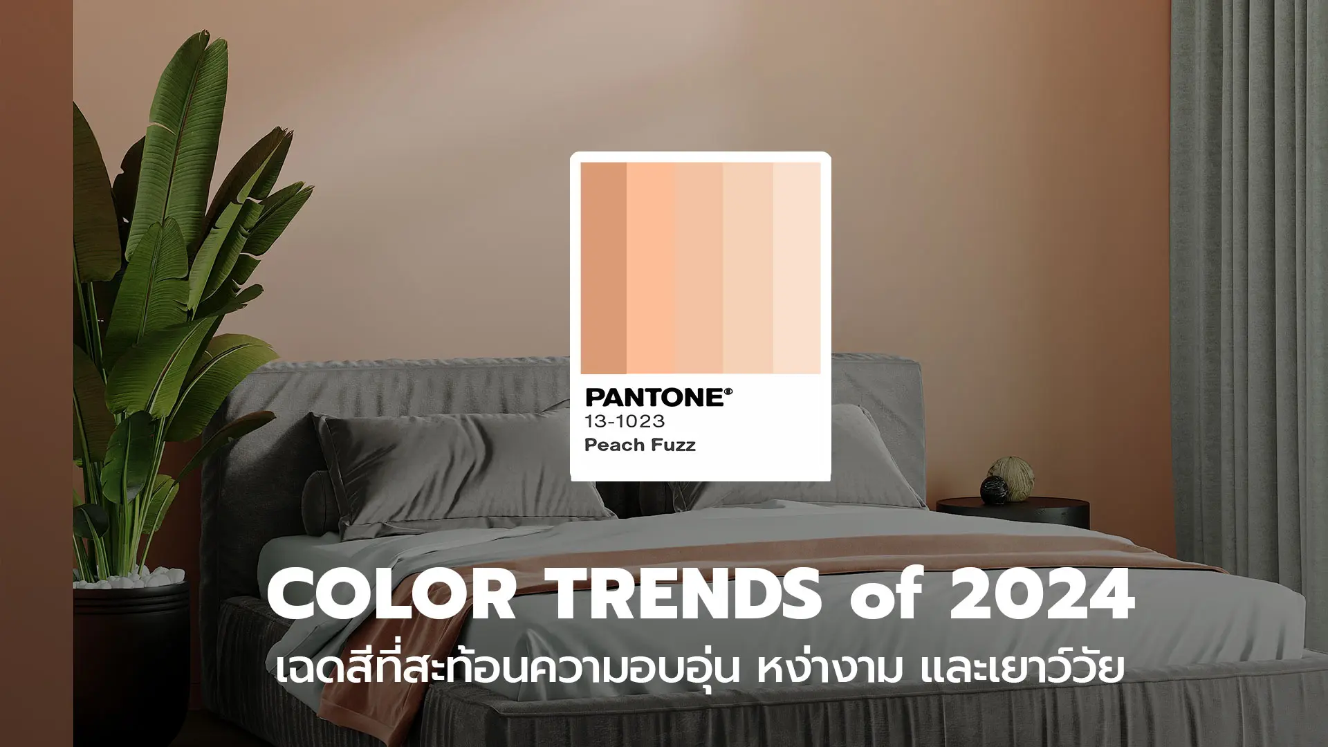 อัพเดตเทรนด์สีปี-2024-จาก-Pantone-กับเฉดสี-Peach-Fuzz
